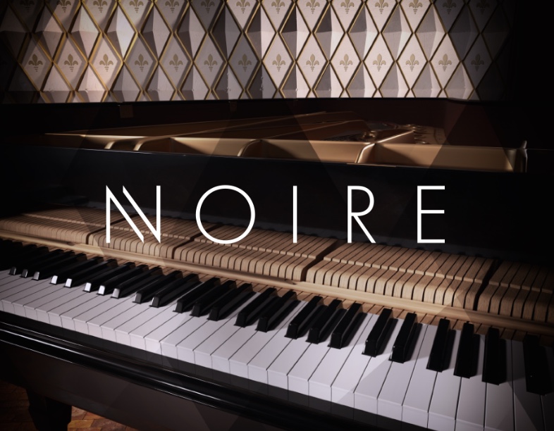 Native Instruments NOIRE